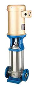 pentair vertical multistage pump